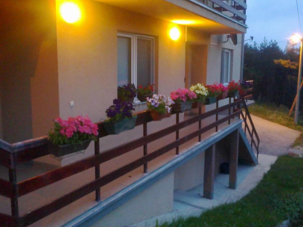 Apartments Varga Divčibare Exteriér fotografie